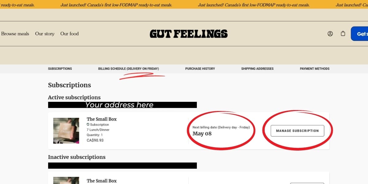 gut feelings subscription portal entry